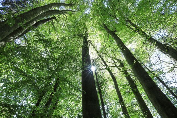 Erlebistage LandWIRtschaft, © Tourist-Info Waginger See Erlebistage LandWIRtschaft, © Tourist-Info Waginger See