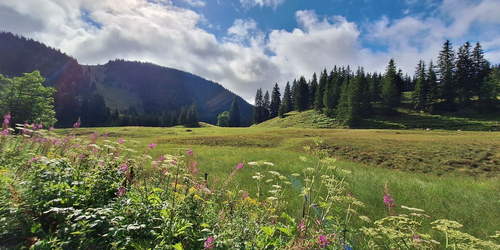 Bild Kräuterwanderung, © Kräuter Kinder Bild Kräuterwanderung, © Kräuter Kinder