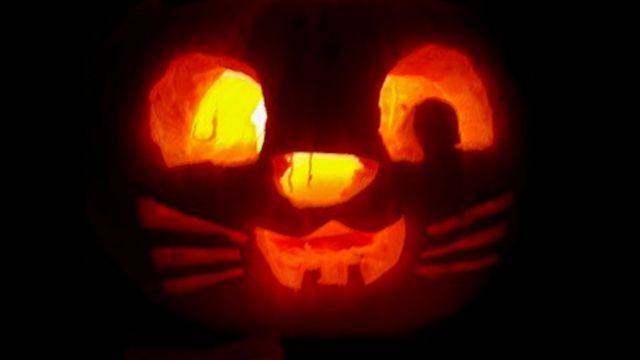 Halloween Wunderbar, © Wunderbar Tengling Halloween Wunderbar, © Wunderbar Tengling