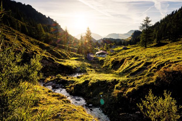 Almen, © Ruhpolding Tourismus / Andreas Plenk Almen, © Ruhpolding Tourismus / Andreas Plenk