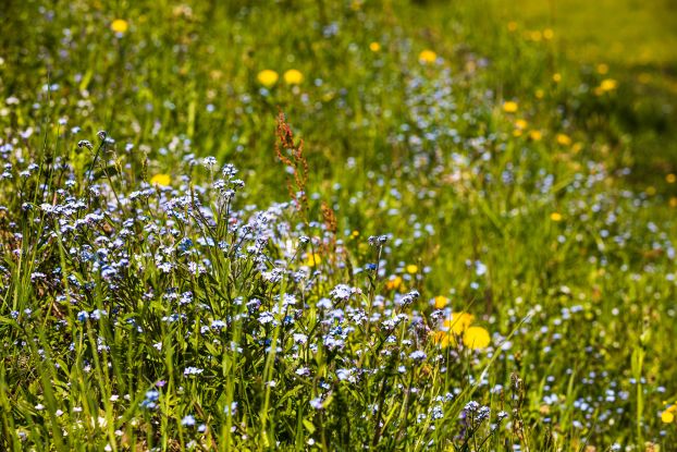 IU2A3293 (1), © Ruhpolding Tourismus / Andreas Plenk IU2A3293 (1), © Ruhpolding Tourismus / Andreas Plenk