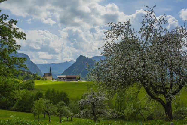 Bäume und Panorama, © Inzeller Touristik GmbH Bäume und Panorama, © Inzeller Touristik GmbH