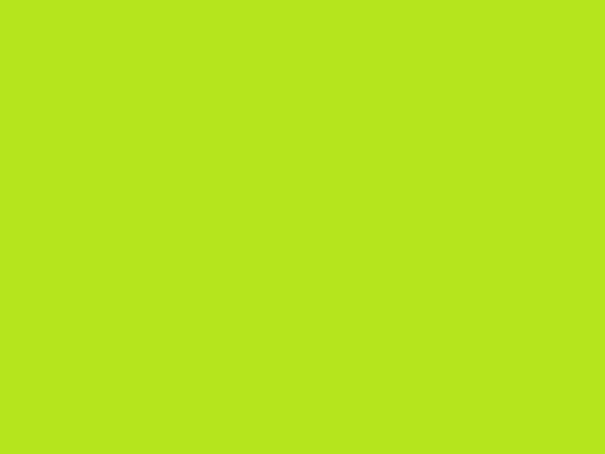 hintergrund-hellgruen_3_1_4 hintergrund-hellgruen_3_1_4