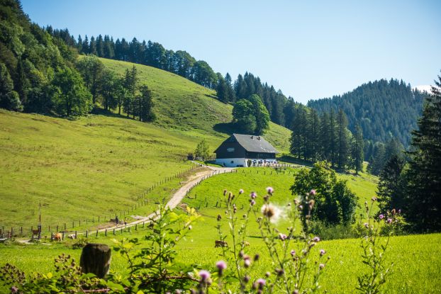 Hocherbalm, © Ruhpolding Tourismus / Andreas Plenk Hocherbalm, © Ruhpolding Tourismus / Andreas Plenk