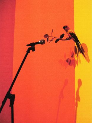 Ausstellungseröffnung Ausstellungseröffnung