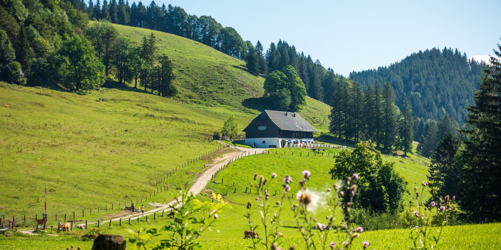 Hocherbalm, © Ruhpolding Tourismus / Andreas Plenk Hocherbalm, © Ruhpolding Tourismus / Andreas Plenk