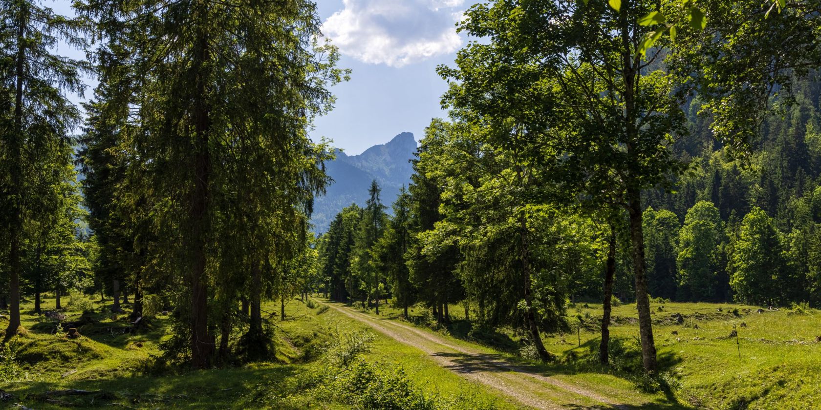 Waldbahn, © Ruhpolding Tourismus / Andreas Plenk Waldbahn, © Ruhpolding Tourismus / Andreas Plenk