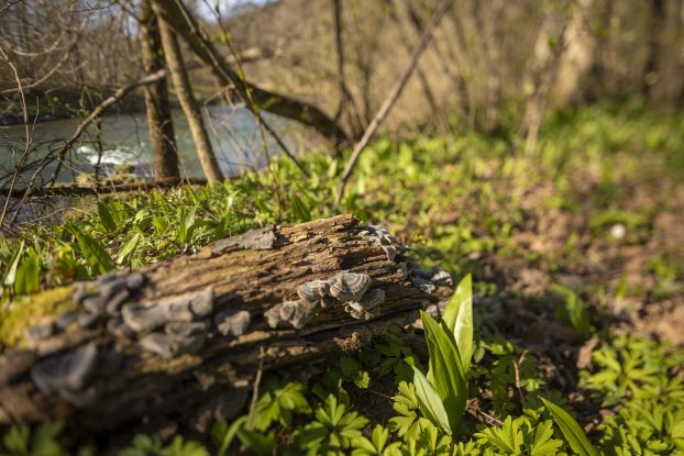 Kneippverein Wandergruppe: Herbstwanderung Kneippverein Wandergruppe: Herbstwanderung