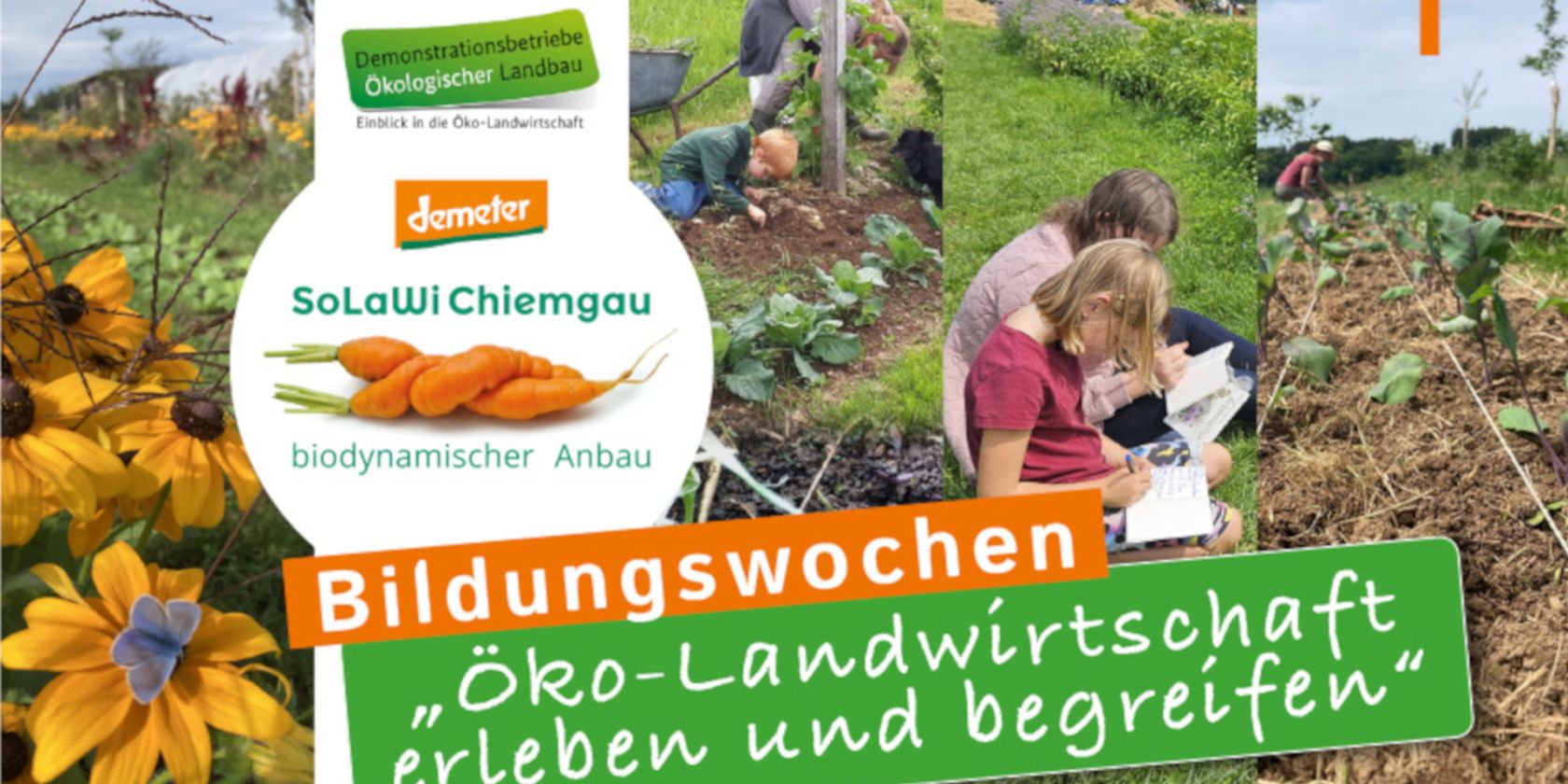Bildungswochen "Öko-Landwirtschaft", © SoLaWi Chiemgau Bildungswochen "Öko-Landwirtschaft", © SoLaWi Chiemgau