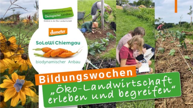 Bildungswochen "Öko-Landwirtschaft", © SoLaWi Chiemgau Bildungswochen "Öko-Landwirtschaft", © SoLaWi Chiemgau
