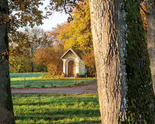 Wanderherbst: Der Lachsgang, © Wolfgang Gassner Wanderherbst: Der Lachsgang, © Wolfgang Gassner