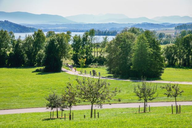 Radtour am Tachinger See, © Tourist-Info Waginger See Radtour am Tachinger See, © Tourist-Info Waginger See