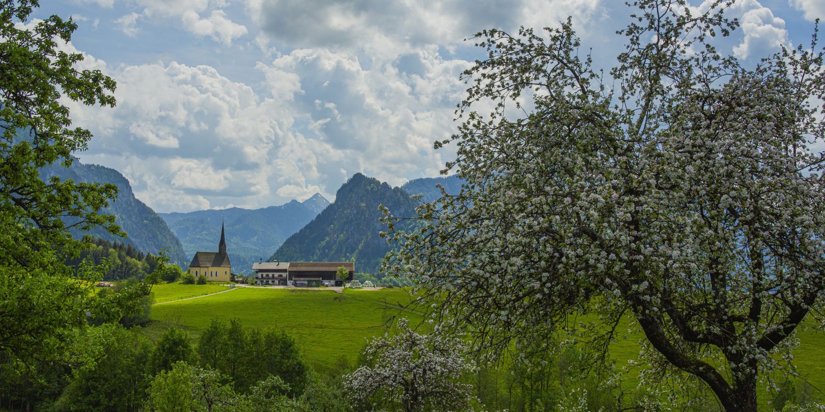 Bäume und Panorama, © Inzeller Touristik GmbH Bäume und Panorama, © Inzeller Touristik GmbH