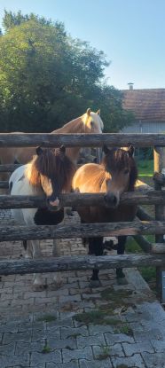 Screenshot_20250122_092252_Gallery Screenshot_20250122_092252_Gallery