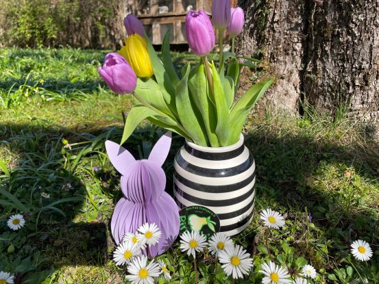 Ostereiersuchen im Kurpark, © Marielies Zeisberger Ostereiersuchen im Kurpark, © Marielies Zeisberger