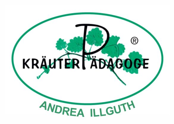 Andrea_Illguth_Logo Andrea_Illguth_Logo
