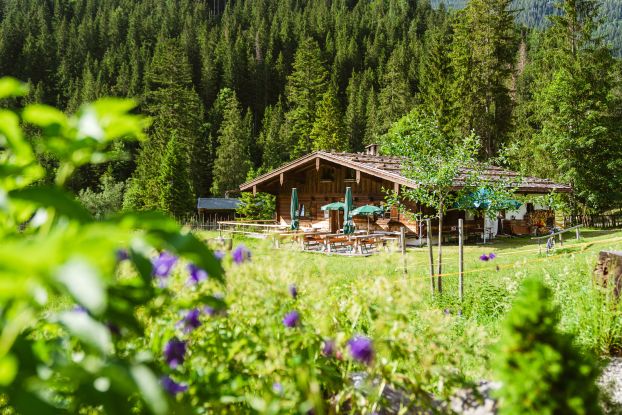 Herbstleuchten – Erlebniswanderung zur Schwarzachenalm, © Ruhpolding Tourismus Herbstleuchten – Erlebniswanderung zur Schwarzachenalm, © Ruhpolding Tourismus