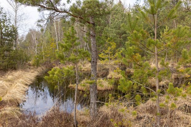 Demelfilz, © Tourist-Info Waginger See Demelfilz, © Tourist-Info Waginger See