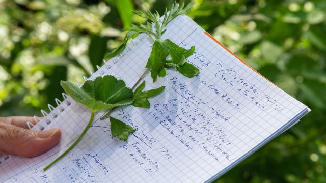 Jahresausbildung Naturmittel, &copy; Tourist-Info Waginger See