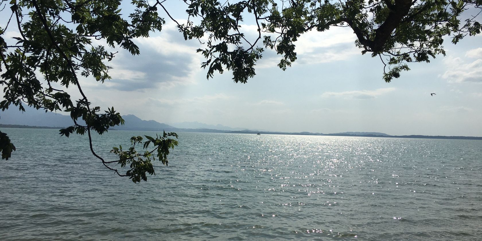 Bild Fr&uuml;hling Julia Philipp, &copy; Julia Philipp