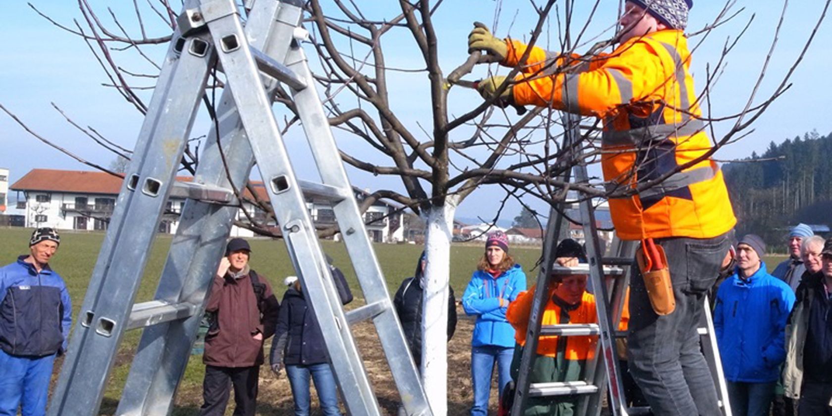 Obstbaumschnittkurs, &copy; Doreen Maierhofer