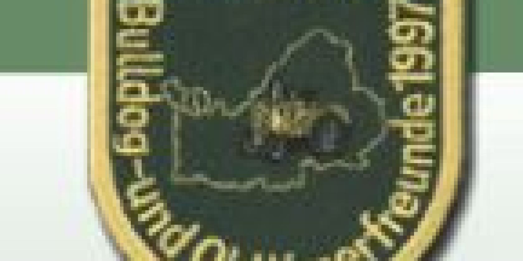 Bulldog- und Oldtimerverein, &copy; Bulldog- und Oldtimerfreunde Grabenst&auml;tt