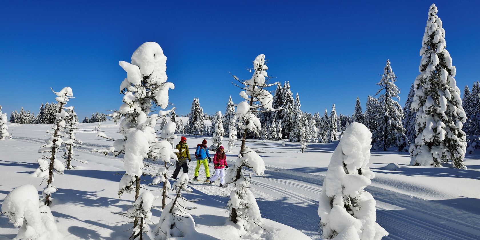 Schneeschuhwandern Hemmersuppenalm Fellhorn, &copy; Eisele Hein