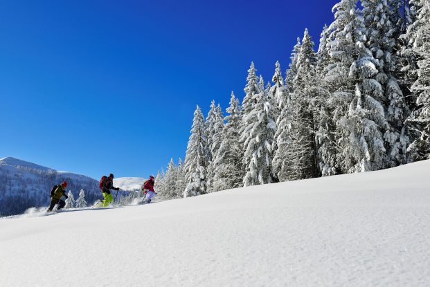 Schneeschuhwandern Hemmersuppenalm Fellhorn, &copy; Eisele Hein