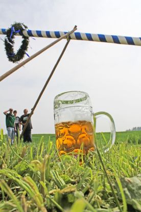 Maibaum mit bier, &copy; Stadt Tittmoning