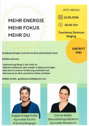 Vortrag Mehr Energie, &copy; Goldbalance