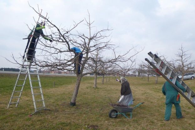 gartenbauverein-maerz-2022