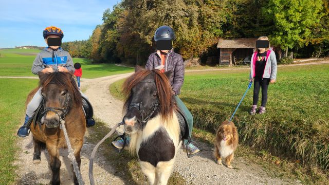 Kinderglück und Ponyzeit