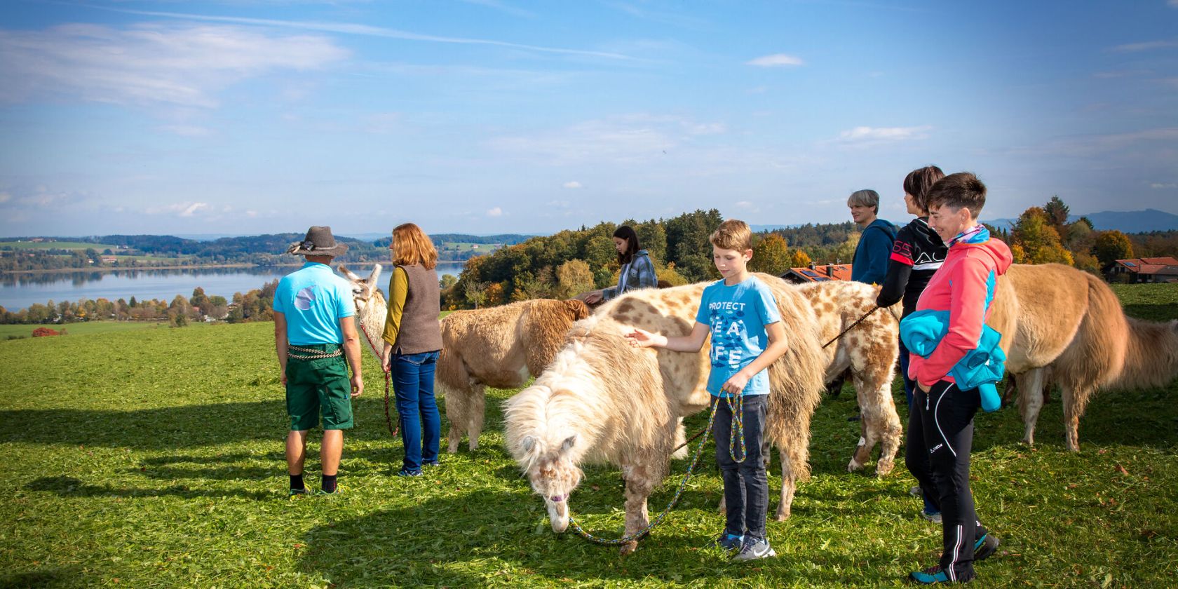 Genusswanderung mit Lamas, &copy; Tourist-Info Waginger See