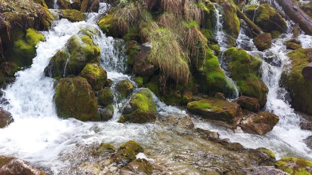 Der Wei&szlig;bach, &copy; Inzeller Touristik GmbH