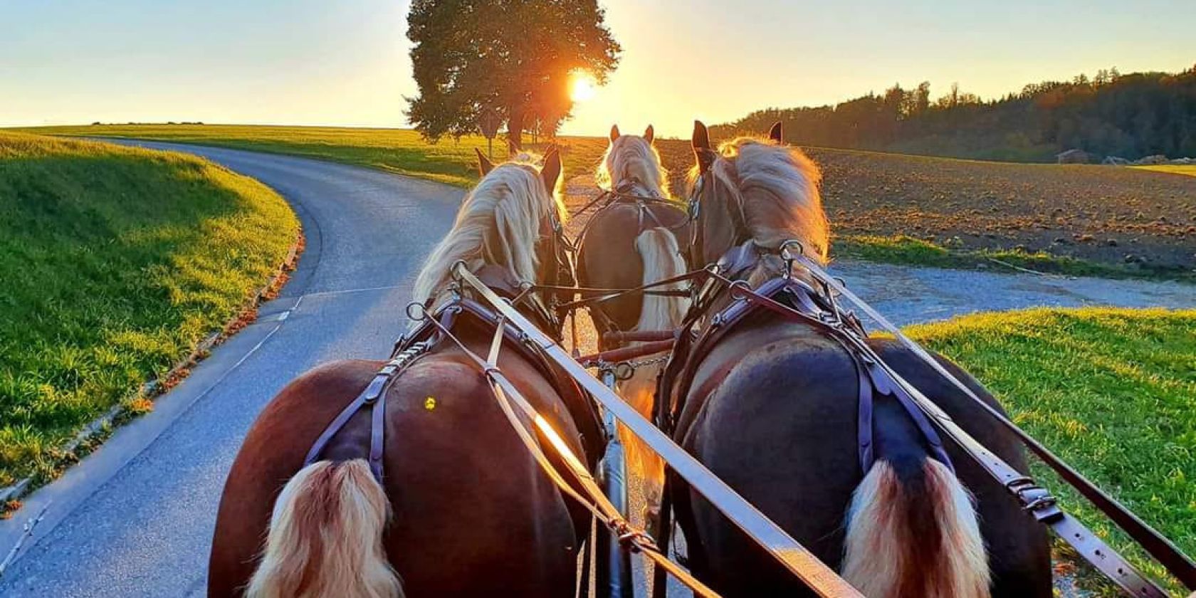 Seeoner Kutschfahrt, &copy; Silvia Z&ouml;ls