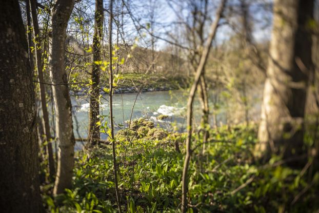 Naturspaziergang - Voranmeldung notwendig