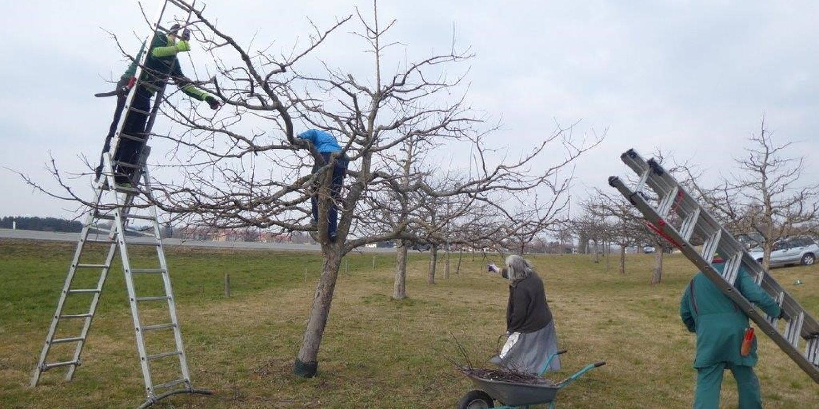 gartenbauverein-maerz-2022