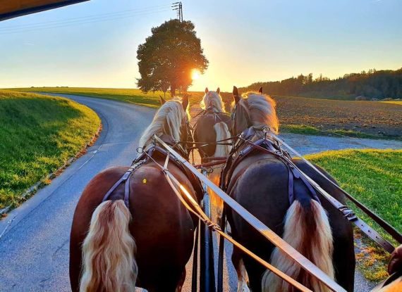 Seeoner Kutschfahrt, &copy; Silvia Z&ouml;ls