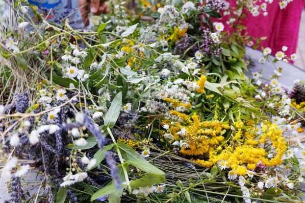 Wildkr&auml;uter, &copy; Ruhpolding Tourismus / Andreas Plenk