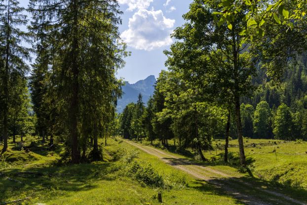 Waldbahn, &copy; Ruhpolding Tourismus / Andreas Plenk