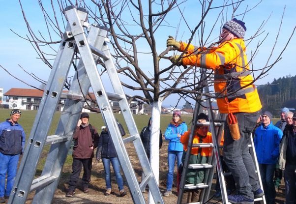 Obstbaumschnittkurs, &copy; Doreen Maierhofer