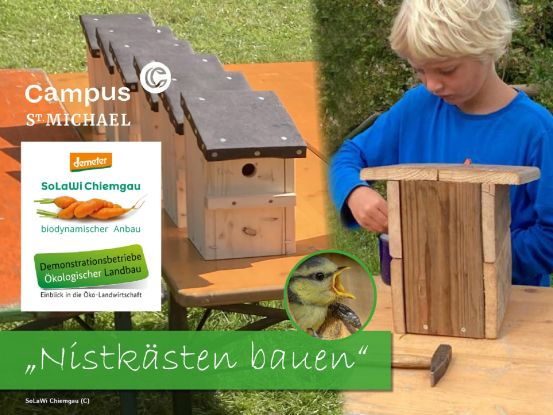 41586 Nistk&auml;sten bauen, &copy; Solawi