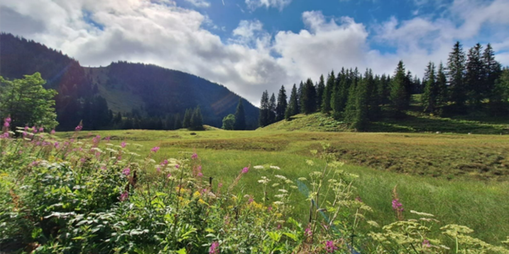 Kr&auml;uter- Ausicht Wanderung (2)