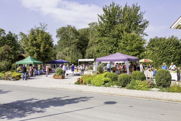 dorfmarkt-2017_bild-1671a_wolga_medres