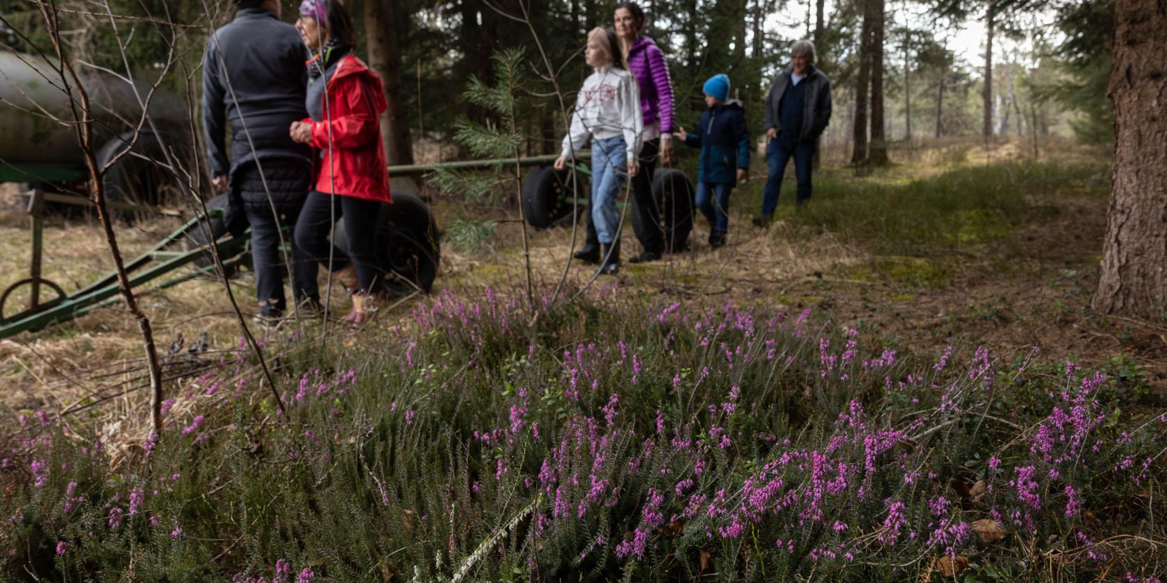Gef&uuml;hrte Moorwanderung im Demelfilz, &copy; Tourist-Info Waginger See / Richard Scheuerecker