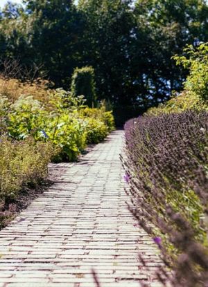 Apothekergarten, &copy; vhs Traunstein