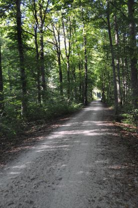 Kneippverein Wandergruppe - Wanderung Ziel je nach Wetterlage