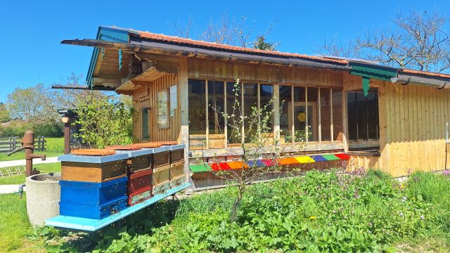 Besichtigung am Bienenschauhaus, &copy; Tourist-Information Grassau & Rottau