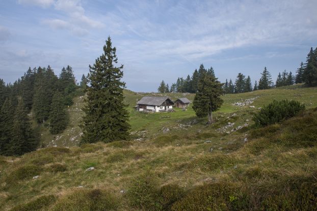 Kohler Alm, &copy; Inzeller Touristik GmbH