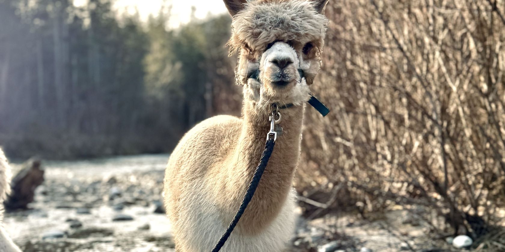 , &copy; Ruhpolding Tourismus